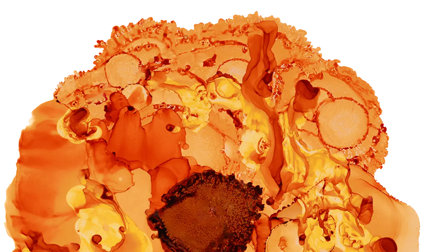 Oncology: <span>transforming</span> cancer treatment afficacy