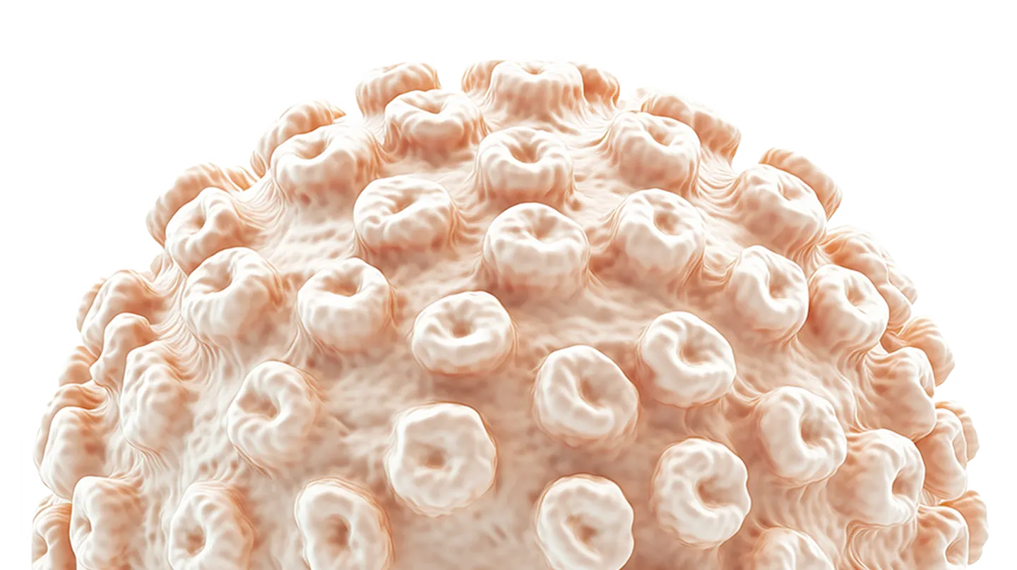 Virology: <span>new insights</span> into detection of <span>viral pathogens</span>